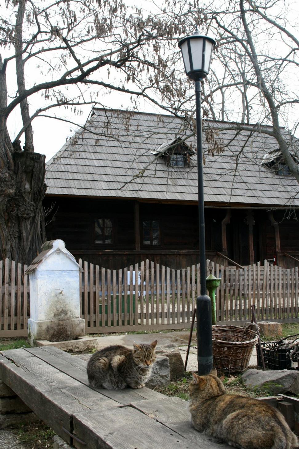 Before renovation